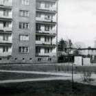 zdjęcie nr 29