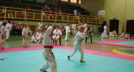Fotka nr 2 z 15
