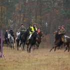 zdjęcie nr 39