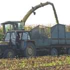 zdjęcie nr 27