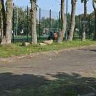 zdjęcie nr 28