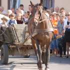 zdjęcie nr 30