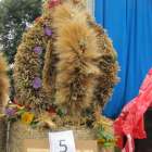 zdjęcie nr 91