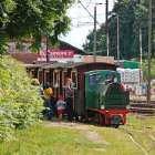 Fotka nr 1 z 20