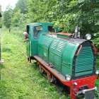 zdjęcie nr 7