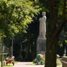zdjęcie nr 9