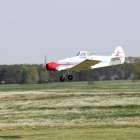 Fotka nr 5 z 46