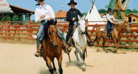 zdjęcie nr 8
