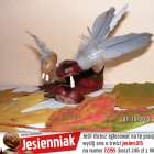 zdjęcie nr 15
