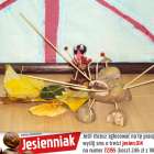 zdjęcie nr 14