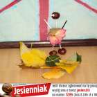 zdjęcie nr 13