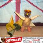 zdjęcie nr 11