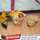 zdjęcie nr 12