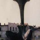 Fotka nr 5 z 20