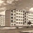 zdjęcie nr 7