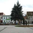 zdjęcie nr 16