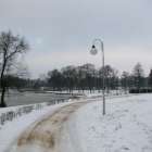 zdjęcie nr 8
