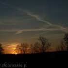 zdjęcie nr 21