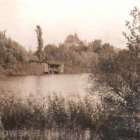 zdjęcie nr 8
