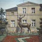 zdjęcie nr 8