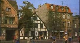 zdjęcie nr 22