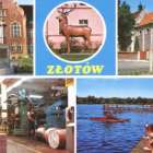 zdjęcie nr 9