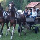 zdjęcie nr 11