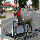 zdjęcie nr 11