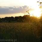 Fotka nr 5 z 7