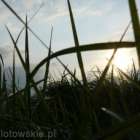 Fotka nr 2 z 7