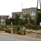 Fotka nr 3 z 17