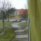 zdjęcie nr 8