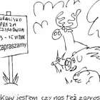 zdjęcie nr 23