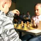 zdjęcie nr 11