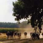 zdjęcie nr 94