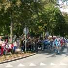 zdjęcie nr 8