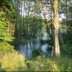 zdjęcie nr 9