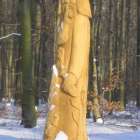 zdjęcie nr 11
