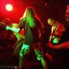 zdjęcie nr 13