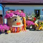 zdjęcie nr 47