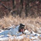 zdjęcie nr 57