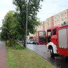 zdjęcie nr 30
