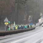 zdjęcie nr 12