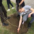 zdjęcie nr 14
