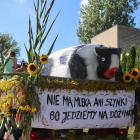 zdjęcie nr 47