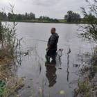 zdjęcie nr 29