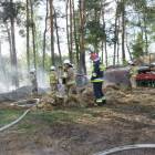 zdjęcie nr 24