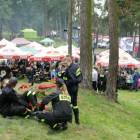 zdjęcie nr 50