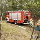 Fotka nr 1 z 6