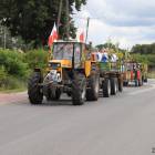 zdjęcie nr 14